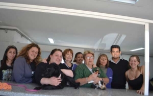 Se realizaron esterilizaciones gratuitas de mascotas en Baigorria