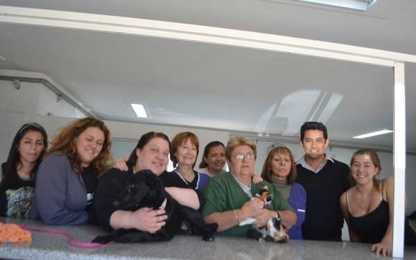 Se realizaron esterilizaciones gratuitas de mascotas en Baigorria