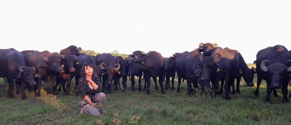 Los búfalos debutan en AgroActiva