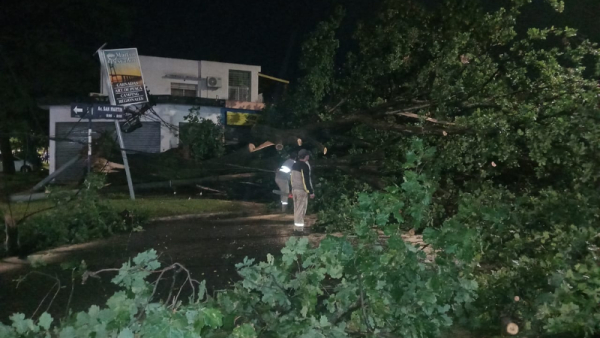 Tras la tormenta, la respuesta del Municipio: “La prioridad es el bienestar de los vecinos”