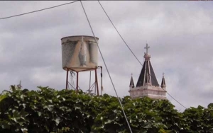 Conmoción en Carcarañá por la aparición de una Virgen