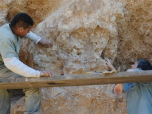 Encontraron en el Parque Sur restos de un gliptodonte que se extinguió hace 8 mil años 