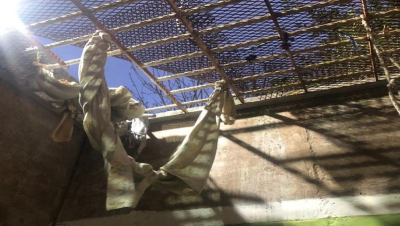 Recapturan a un preso que estuvo prófugo casi dos años