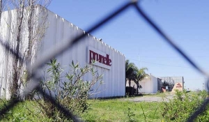 Prunelle: planean una cooperativa para seguir