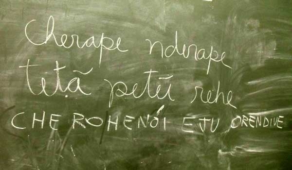 Proponen incluir el guaraní como una lengua más en el programa de movilidad académica del Mercosur