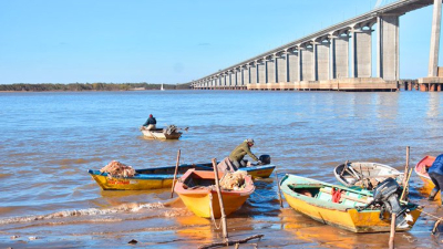 Científicos del CONICET trabajan en el plan de manejo de la Isla de los Mástiles