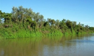 Dos baigorrienses detenidos por cuatrerismo en Victoria