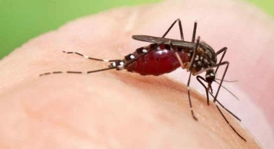Ya son dos los casos de dengue en la ciudad
