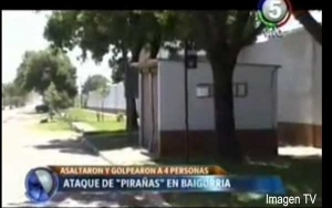 Vecinos denuncian que fueron víctimas de un "robo piraña" en Granadero Baigorria