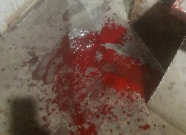 Feroz golpiza a un anciano en Autostrada