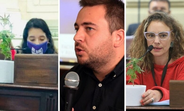 Llevaron una planta de cannabis a la sesión y diputado evangélico salió al cruce: “Quieren imponer la ideología de consumo”