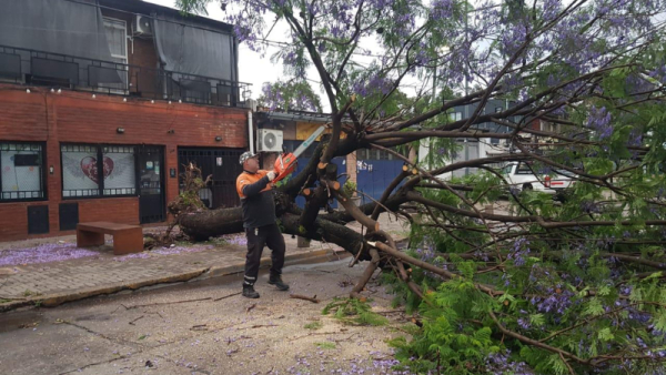 La ciudad superó los efectos adversos de la tormenta
