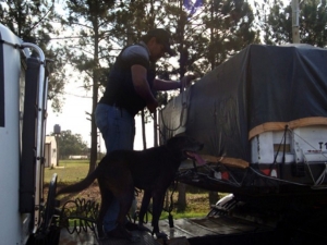 Secuestran en Corrientes 3,5 toneladas de marihuana que venían a nuestra ciudad 