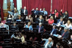 El Congreso rechazó el referendo realizado en las Islas Malvinas