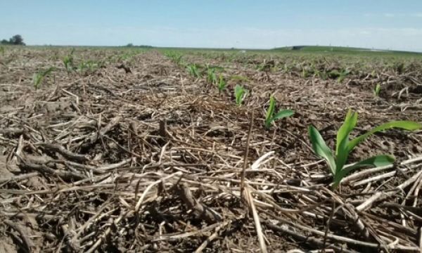 Comenzó la campaña de ventas de @AgroActiva con gran interés de los expositores