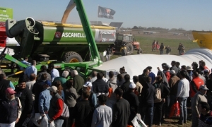 Plastar será silobolsa oficial y tendrá gran presencia de marca en AgroActiva