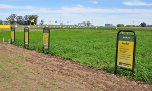 Barenbrug Palaversich vuelve a las exposiciones en AgroActiva