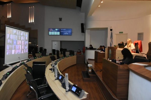Tercera sesión virtual en el marco de la pandemia