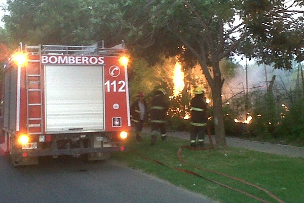 Ardió parte del cañaveral perimetral de la Ciudad Deportiva