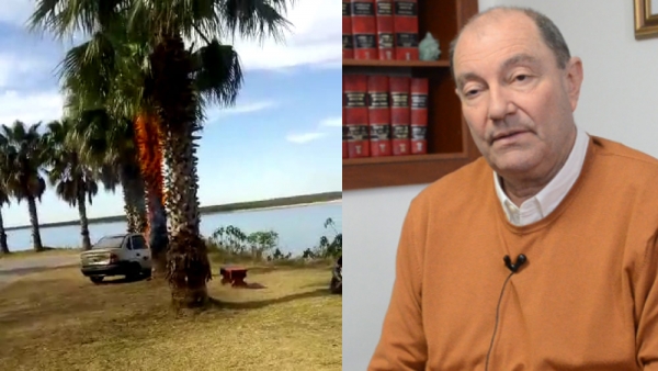 El intendente Maglia manifestó su dolor por la quema de una palmera en la costa local