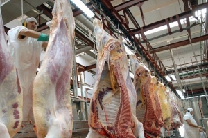 Argentina prevé incrementar 5% la producción de carne vacuna en 2013