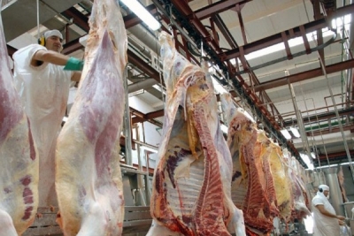 Argentina prevé incrementar 5% la producción de carne vacuna en 2013