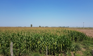 Los trabajos en el predio de AgroActiva no aflojan