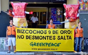 Greenpeace denunció que la empresa Bizcochos 9 de Oro pretende desmontar ilegalmente en Salta