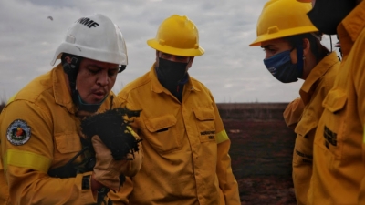 "Esperamos que la justicia actúe con firmeza para dar con los responsables de esta masacre ambiental"