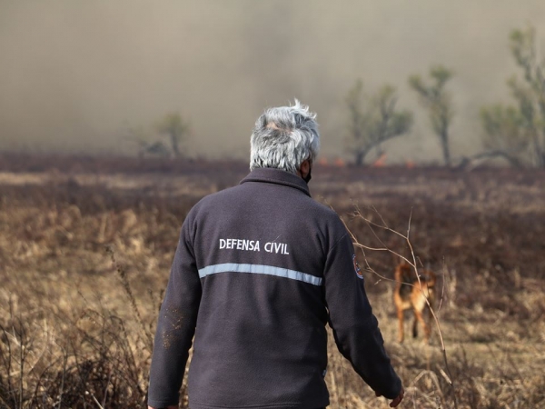 Defensa Civil presente en el terreno para cotejar el daño ambiental