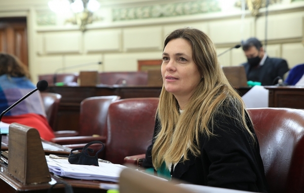 Di Stefano propone medidas de apoyo para Verbano
