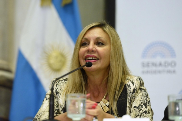 Sacnún presentó un proyecto de ley para la creación de una platadorma digital de compraventa estatal y gratuita