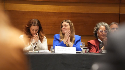 Di Stefano llevó la experiencia de Santa Fe a un encuentro nacional de legisladores por las infancias